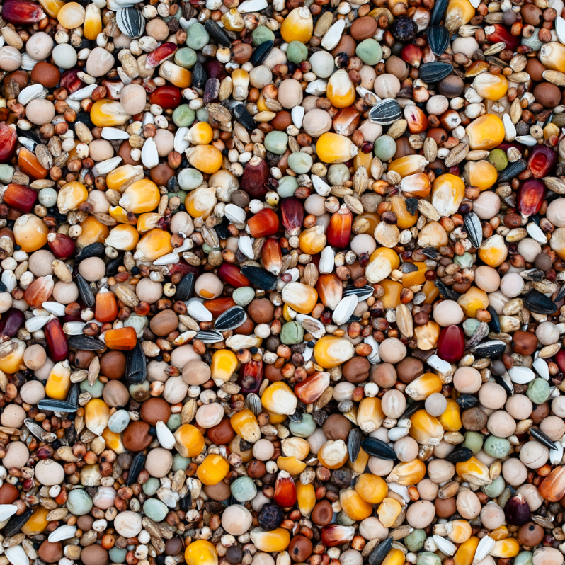 Rozpłodowo - Lotowa RL